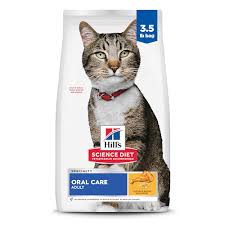 Healthy cat food bow