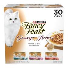 Healthy cat food bowl