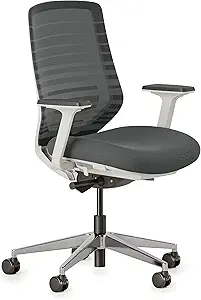 ergonomic office chair with lumbar support